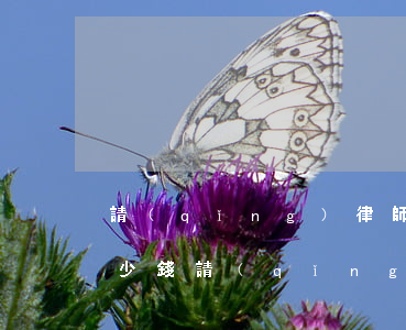 請(qǐng)律師辯護(hù)大概要多少錢(請(qǐng)一個(gè)律師辯護(hù)大概需要多少錢)