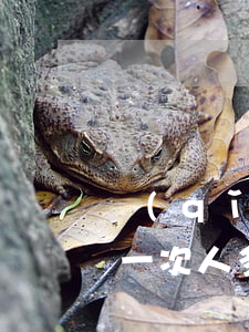 請(qǐng)律師進(jìn)看守所見一次人多少錢(看守所律師可以見幾次)