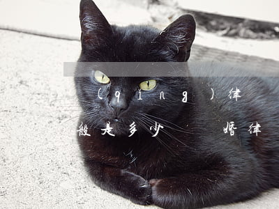 請(qǐng)律師離婚費(fèi)用一般是多少錢(離婚律師費(fèi)大概需要多少錢)