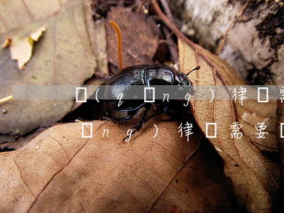 請(qǐng)律師需要簽訂什么(聘請(qǐng)律師需要簽的協(xié)議)