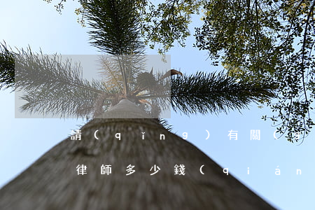 請(qǐng)有關(guān)宅基地的律師多少錢(qián)(申請(qǐng)宅基地可以向律師咨詢一下)