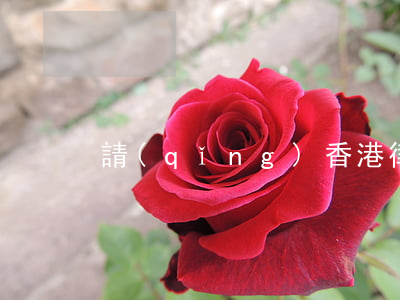 請(qǐng)香港律師(香港 律師 大律師)