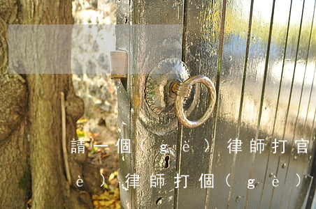請一個(gè)律師打官司多少錢(請個(gè)律師打個(gè)官司要多少錢)