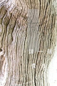 請一個宅基地律師需要多少錢(宅基地律師免費咨詢)