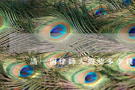 請一個律師大約要多少錢