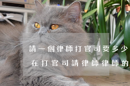 請一個律師打官司要多少錢(現(xiàn)在打官司請律師律師的費(fèi)用怎么算的)