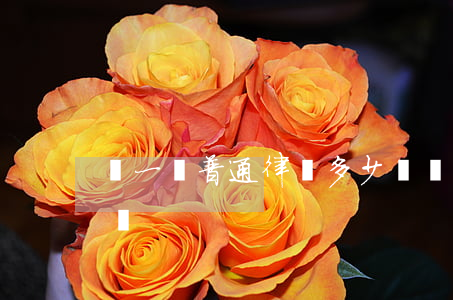 請一個普通律師多少錢(請一個普通律師多少錢)