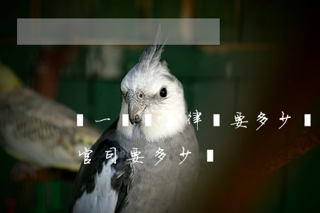 請一個車禍律師要多少錢(車禍死亡請律師打官司要多少錢)