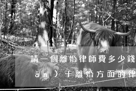 請一個離婚律師費多少錢寶雞(寶雞關(guān)于離婚方面的律師)