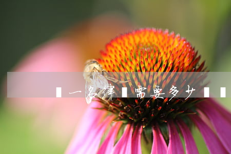 請一名律師需要多少錢(請律師怎么收費的)
