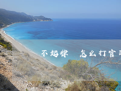 請不起律師怎么打官司(打官司為什么要請律師)