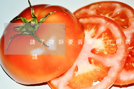 請了律師要簽哪些合同(聘請律師需要簽的協議)