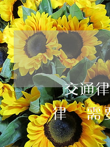 請交通律師費用多少錢(發(fā)生交通請律師需要多少費用)