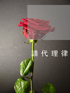 請代理律師要多少錢(請個代理律師怎么收費)