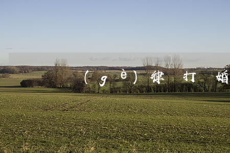 請個(gè)律師打離婚官司要多少錢