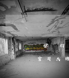 請個律師打個官司大概要多少錢(請個律師打個官司大概要多少錢民事糾紛)