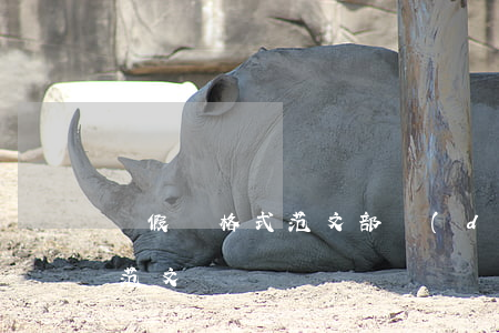 請假條格式范文(部隊(duì)請假條格式范文)