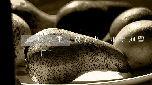 請刑事律師要多少錢(刑事拘留請律師要多少費用)
