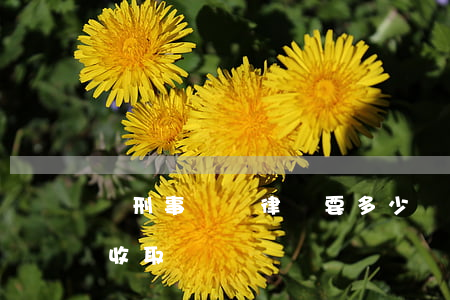 請刑事辯護律師要多少錢(刑事案件律師費用收取標準)