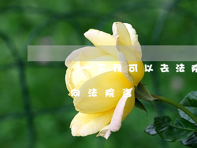 請問一下我可以去法院里面問問嗎(可以打電話向法院咨詢嗎)