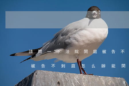 請問一下法院開庭被告不去可以嗎(如果開庭被告不到庭怎么辦,能開庭嗎)