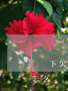 請問下欠信用卡不還可以嗎(欠信用卡不還會怎么樣?)