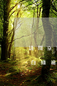 請問京東白條逾期會有什么后果-請問京東白條逾期會有什么后果嗎
