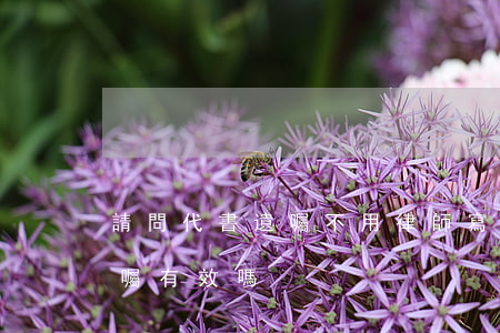 請問代書遺囑不用律師寫可以嗎(律師代寫遺囑有效嗎)