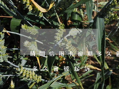 請問信用卡逾期多久會被起訴 欠信用卡逾期多久會被起訴