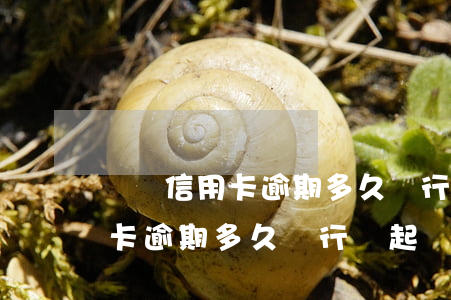 請問信用卡逾期多久銀行會起訴(貸款跟信用卡逾期多久,銀行會起訴)