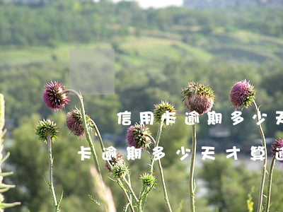 請問信用卡逾期多少天才算逾期-請問信用卡逾期多少天才算逾期呢