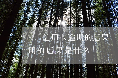 請問信用卡逾期的后果 貸款逾期與信用卡逾期的后果是什么
