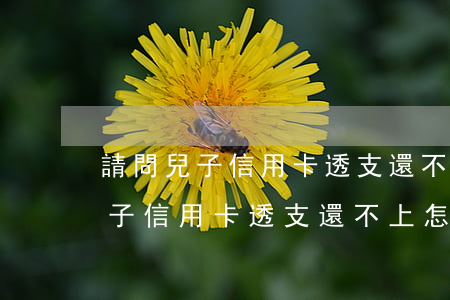請問兒子信用卡透支還不上怎么辦-請問兒子信用卡透支還不上怎么辦呢