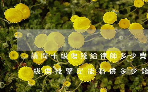 請問十級傷殘給律師多少費(fèi)用(十級傷殘鑒定能賠償多少錢)
