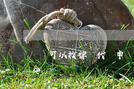 請問可以找律師代開申請調(diào)查令嗎