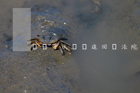 請問可以訴訟追回嗎(法院起訴能追回錢嗎)