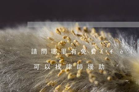 請問哪里有免費(fèi)的律師援助(哪里可以找律師援助)