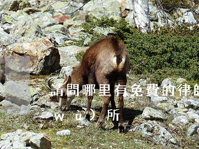 請問哪里有免費的律師(哪有免費律師事務(wù)所)