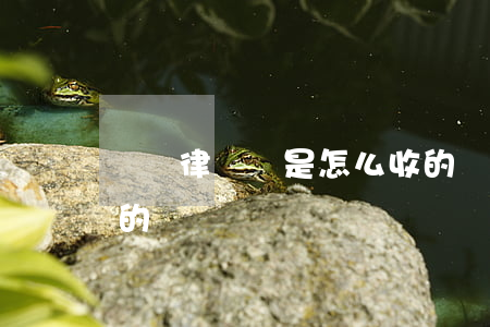 請問律師費是怎么收的(請問律師費是怎么收的)