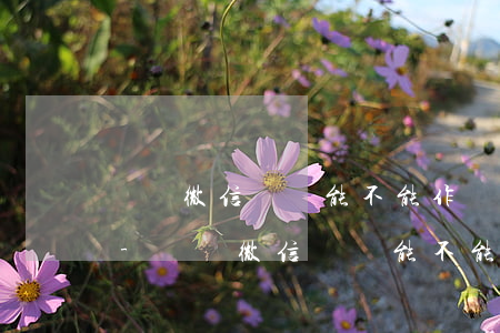 請問微信記錄能不能作為起訴證據(jù)-請問微信記錄能不能作為起訴證據(jù)呢