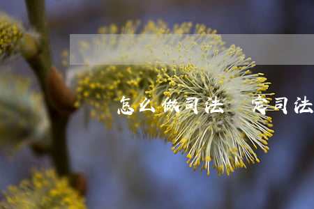 請問怎么做司法鑒定(司法鑒定需要的資料)