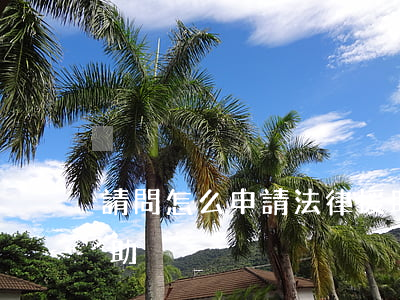 請問怎么申請法律援助(如何請求申請法律援助)