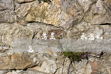 請問房屋遺囑繼承怎么寫(子女繼承房產遺囑怎樣寫)