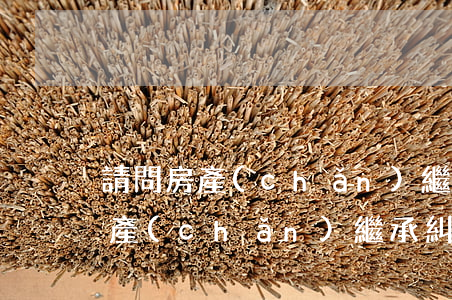 請問房產(chǎn)繼承怎么寫起訴書(房產(chǎn)繼承糾紛起訴書怎么寫)