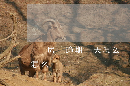請問房貸逾期一天怎么辦(請問房貸逾期一天怎么辦)