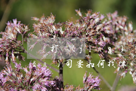 請問打經(jīng)濟(jì)關(guān)司要如何找律師(請問經(jīng)濟(jì)糾紛先找律師還是直接去法院)