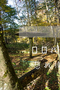 請問找律師問點(diǎn)情況怎么找(我想找律師怎么找)