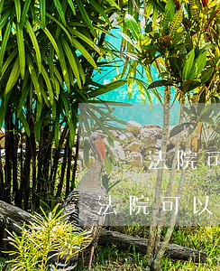 請問法院可以查封我的房產(chǎn)嗎(法院可以查封公產(chǎn)房嗎)