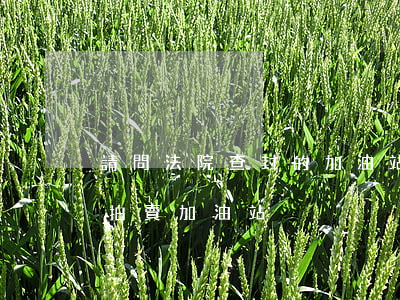 請問法院查封的加油站可以拍賣嗎(全國法院拍賣加油站)