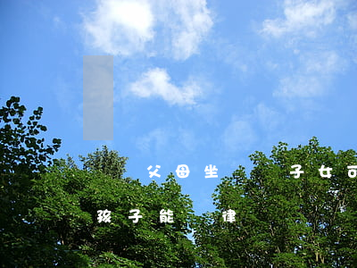 請問父母坐過勞子女可以當律師嗎(父母坐牢孩子能當律師嗎)